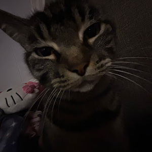 Meet your Posher, Robin